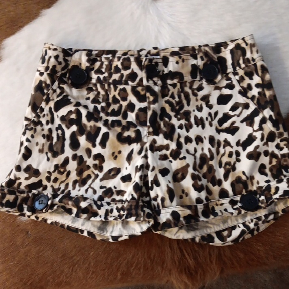 Leopard Print Cache Women's Shorts - image 1